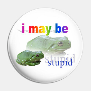 I may be stupid frog word art Pin