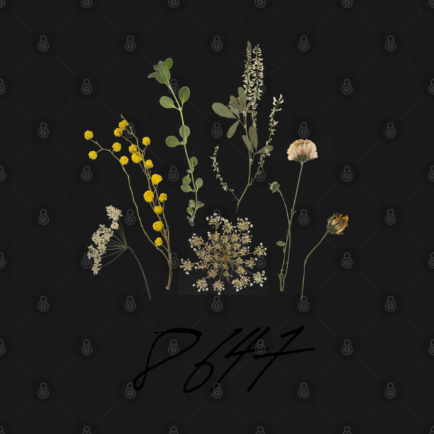 8647 by Creatifly Graphic Tees