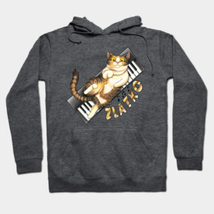 Zlatko on keyboard Hoodie