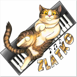 Zlatko on keyboard Posters and Art