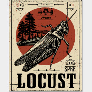 Locust Swarm - Vintage Insect Art Posters and Art