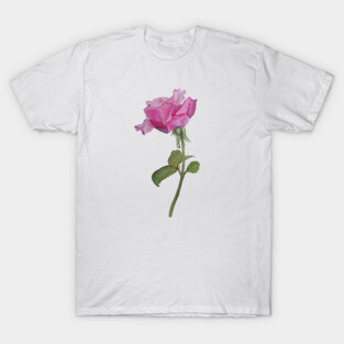 Watercolor rose T-Shirt