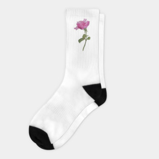 Watercolor rose Socks