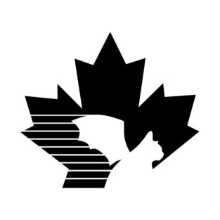 Ciabatta Cat Leaf T-Shirt