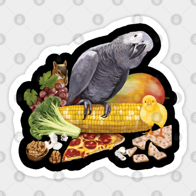 Einstein's Favorite Things Sticker by Einstein Parrot