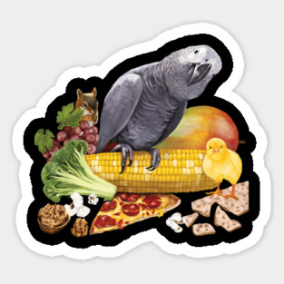 Einstein's Favorite Things Magnet