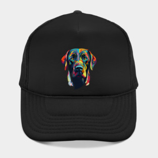 dog Hat