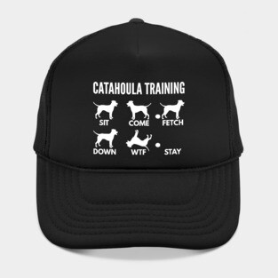 Catahoula Leopard Dog Training Catahoula Cur Tricks Hat