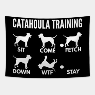 Catahoula Leopard Dog Training Catahoula Cur Tricks Tapestry