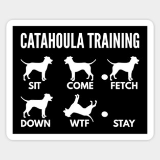 Catahoula Leopard Dog Training Catahoula Cur Tricks Sticker