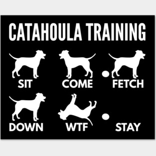 Catahoula Leopard Dog Training Catahoula Cur Tricks Posters and Art