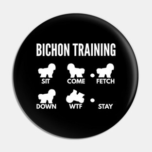 Bichon Training Bichon Frise Tricks Pin