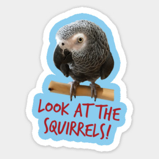 Look at the squirrels! Sticker