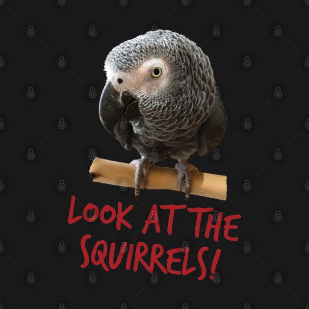 Look at the squirrels! by Einstein Parrot