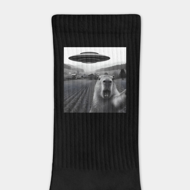 Capybara taking selfie with a UFO by SKIBITEES 