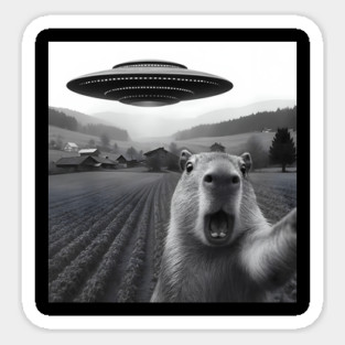 Capybara taking selfie with a UFO Magnet