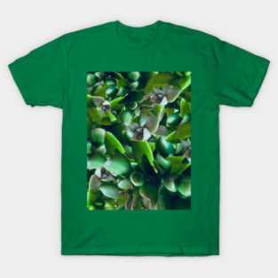 Succulents T-Shirt