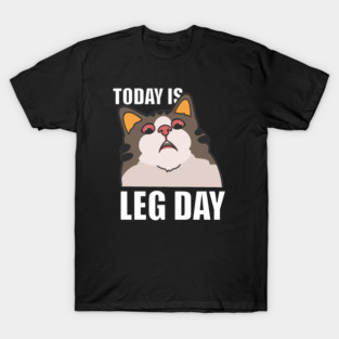 LEG DAY, GYM MOTIVATION T-Shirt