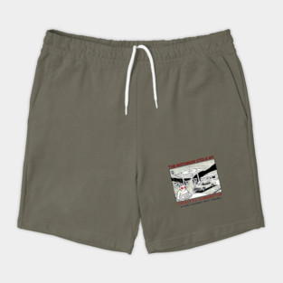 the mothman stole my Catalytic converter Shorts