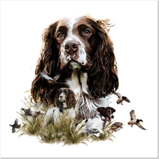 English Springer Spaniel, Springer Spaniel Posters and Art