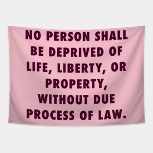 Due Process Clause Tapestry