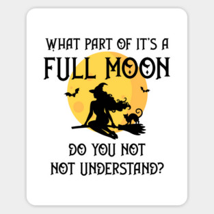 What Part of It's a Full Moon Do You Not Understand Cheeky Witch® Magnet