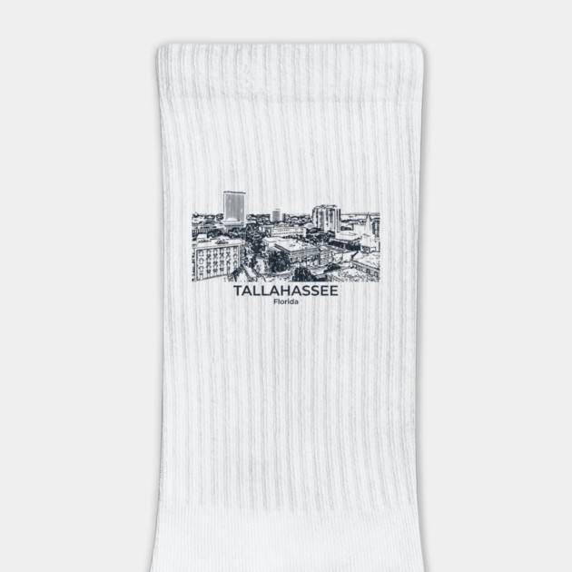 Tallahassee - Florida by Lakeric