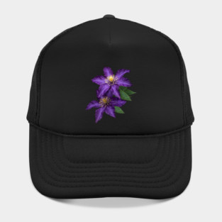 Purple Clematis in the Rain Hat