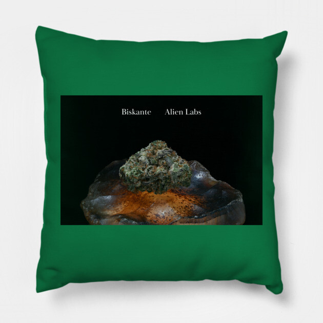 Biskante on Rock - Weed Design Pillow by MrGreenGenes420