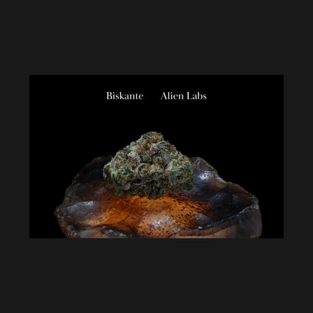 Biskante on Rock - Weed Design by MrGreenGenes420