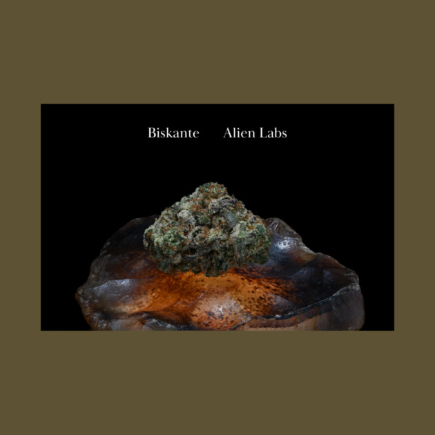 Biskante on Rock - Weed Design by MrGreenGenes420
