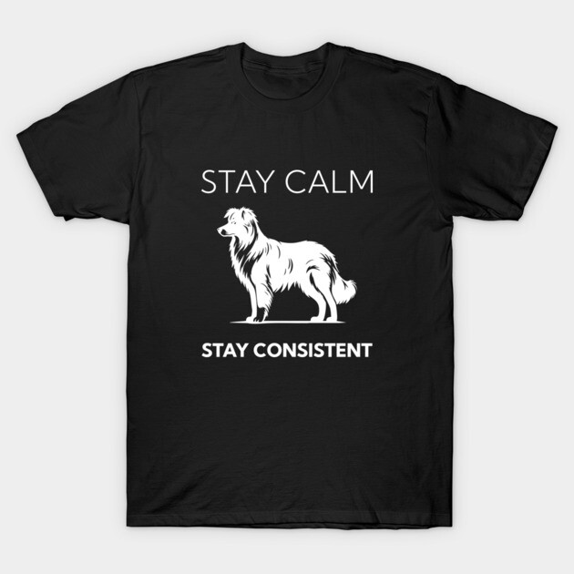 Stay Calm - Stay Consistent T-Shirt by Nate's Store 1