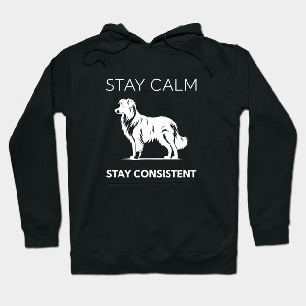 Stay Calm - Stay Consistent Hoodie by Nate's Store 1