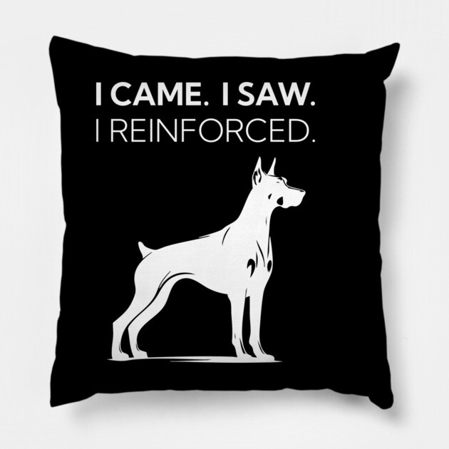 I Came. I Saw. I Reinforced Pillow by Nate's Store 1