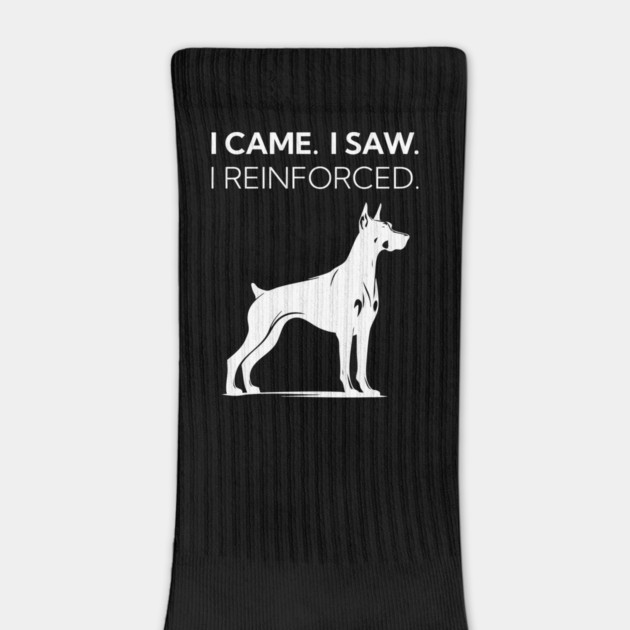 I Came. I Saw. I Reinforced by Nate's Store 1