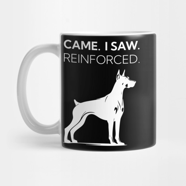 I Came. I Saw. I Reinforced by Nate's Store 1