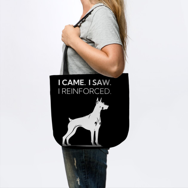 I Came. I Saw. I Reinforced by Nate's Store 1