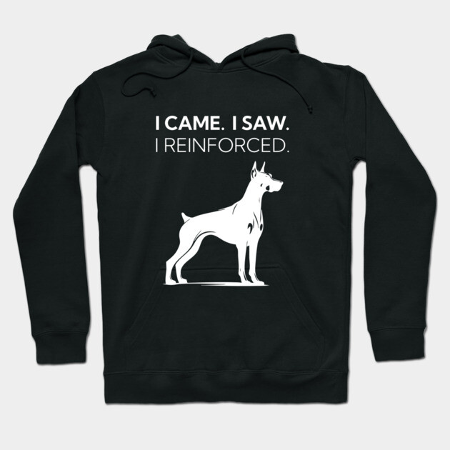 I Came. I Saw. I Reinforced Hoodie by Nate's Store 1