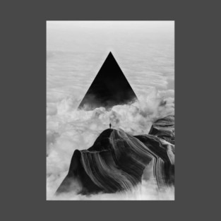 We never had it anyway T-Shirt