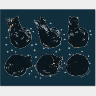 Formation of a Black Hole Posters and Art