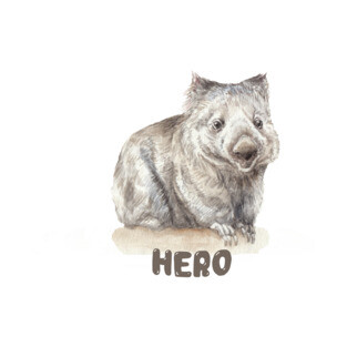 Wombat Hero Watercolor Illustration T-Shirt