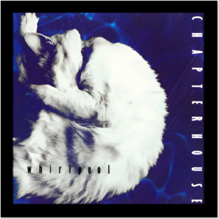 Breather Chapterhouse Posters and Art