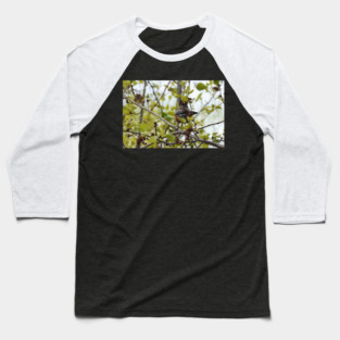 Bird on a branch Baseball T-Shirt