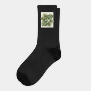 Nature’s Embrace Socks