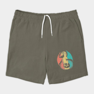 Retro Pop Art Majestic Dragon Design Shorts