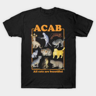 All medieval cats are beautiful! T-Shirt