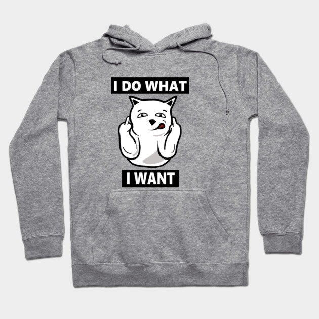 I do What I want Cat, Funny mean cat Hoodie by logiamerch