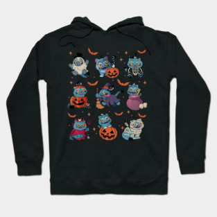 Derpy Tiger and Sussie Bird Halloween Hoodie