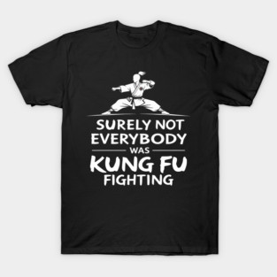 Surely Not Everybody Was Kung Fu Fighting - Eye Voodoo T-Shirt