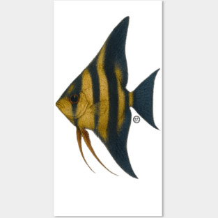 Angelfish - Vintage Japanese Style - Unreal Color Angel Fish Posters and Art